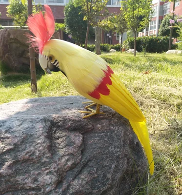 Warna Warni Kuning Bulu Burung Beo Cockatoo Buatan Burung 30 Cm