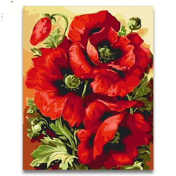 

Red pink beautiful poppies oil painting package diy pictures coloring draw by numbers with kits for adult kids paint frame