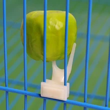 3,2*1,6 см пластиковые кормушки для птиц фруктовая вилка для еды установка клетка аксессуары приспособление для клетки с попугаем принадлежности для голубей Кормление