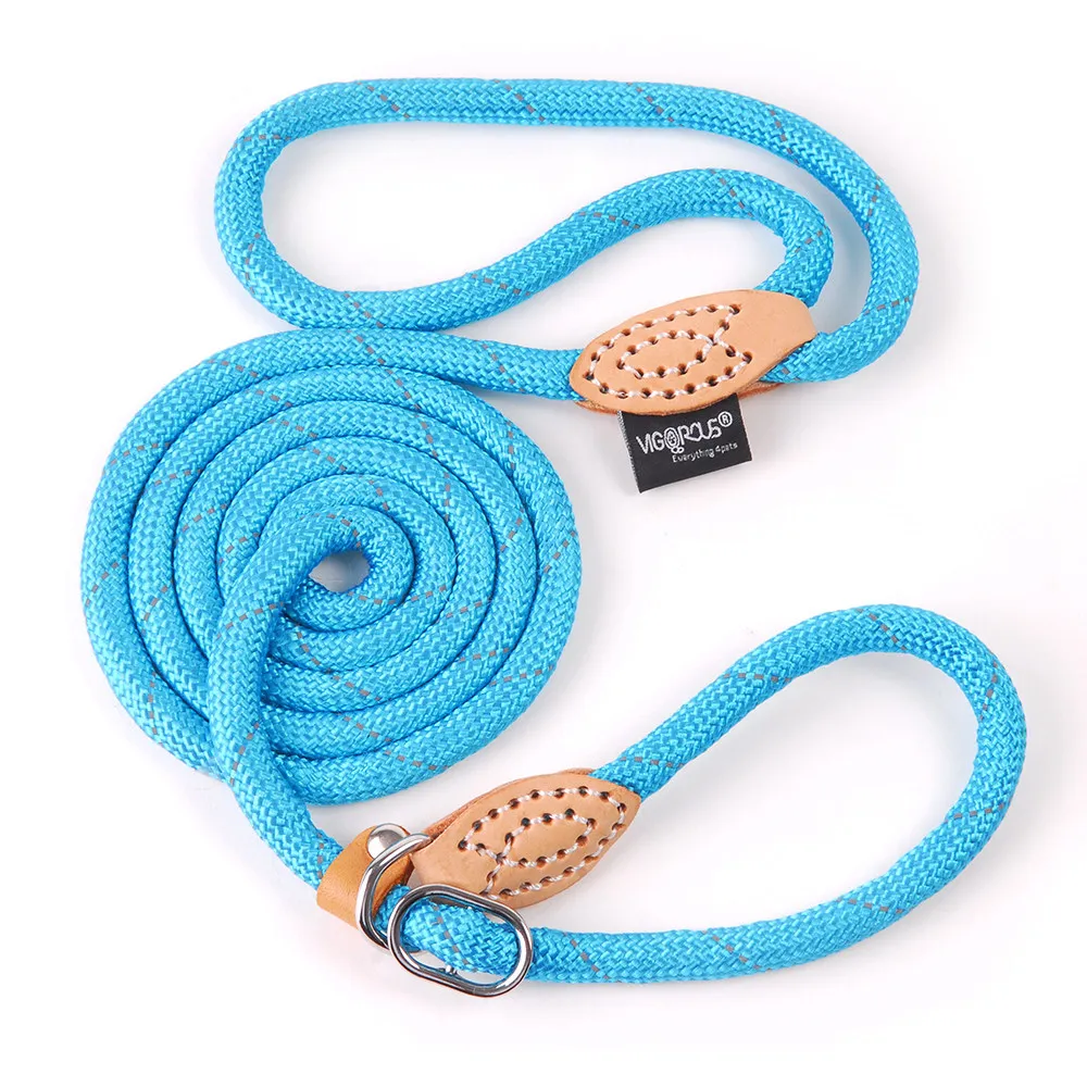 Pet Products Dog Leash Nylon Reflective Puppy Dog Leash Rope Cat Chihuahua Pet Leash And Collar Set Cat Dog Leashes Lead Harness (12)