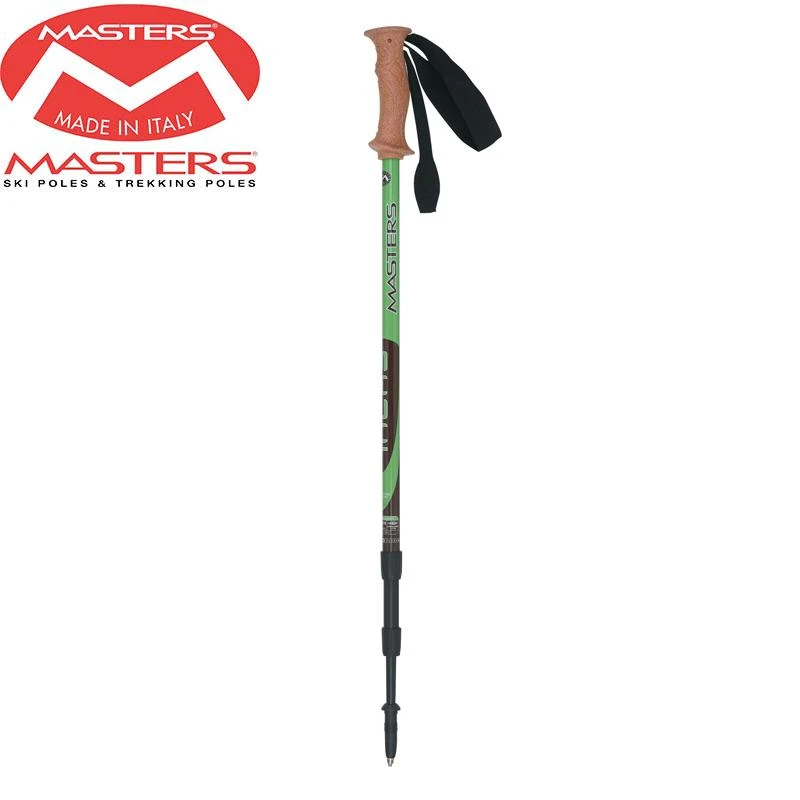masters ski poles