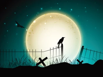 

Halloween photo backdrops printed with giant moon and crows Art fabric backdrop for studio photography background D-9841