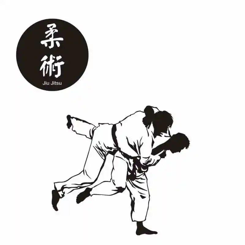 Martial Arts Boxing Judo Karate Kids Room Decor Wall Art Stickers Vinyl Decal