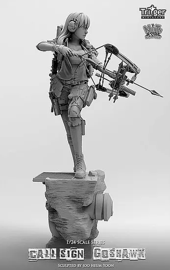 Call Sign Goshawk 02