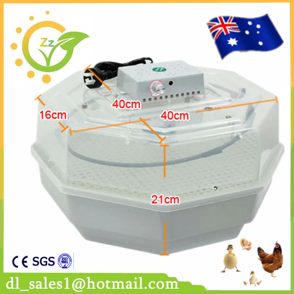 Good Quality Mini 60 Chicken Egg Incubators Sale for Duck Pigeon Quail