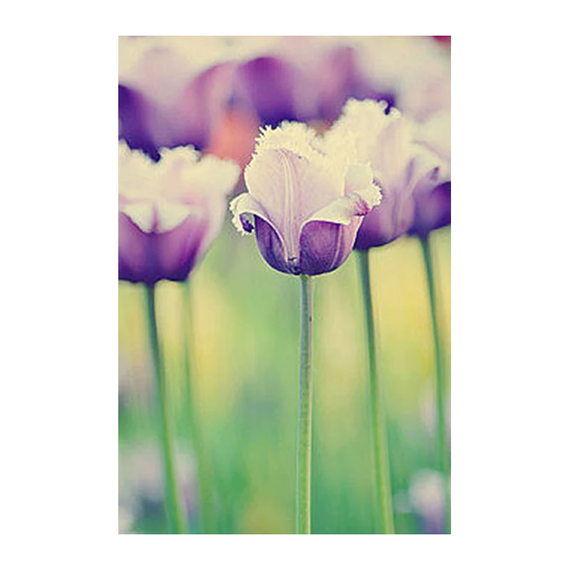 Full Round Diamond mosaic Flowers 5D DIY Diamond embroidery Cross stitch tulip Full Square Diamond painting Loves 25