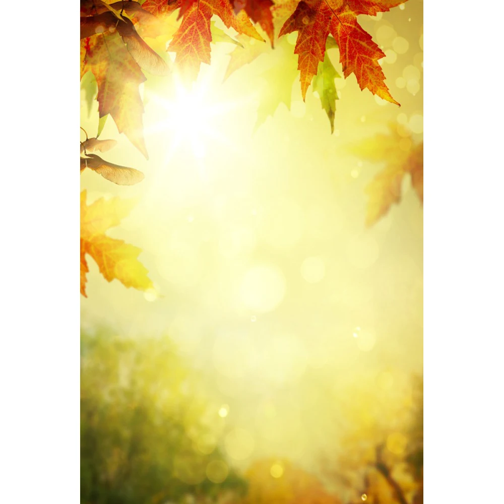 

Laeacco Maple Leaves Light Bokeh Sunshine Portrait Photographic Backgrounds Customized Photography Backdrops For Photo Studio