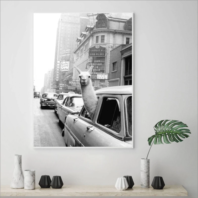 Vintage-llama-Print-Poster-New-York-Photo-Picture-Llama-in-a-taxi-on-Times-Square-Canvas (1)