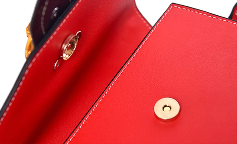 Fashion Women Handbag Lion Head Lock Small Square Pack Crossbody Shoulder Feamle Tote Bags Ladies Casual Rivet Wallet SS0419 (17)