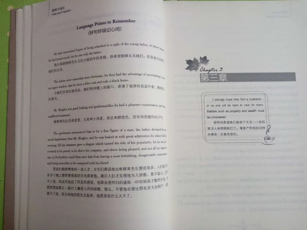 Всемирно известный двуязычный китайский и английский версия знаменитого романа