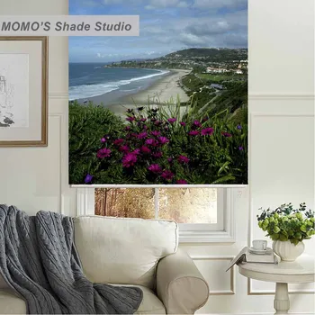 

MOMO Roller Blinds Blackout Design Window Blinds Shades Painting Curtains Roller Shades Thermal Fabric Custom Size,PRB set61-64