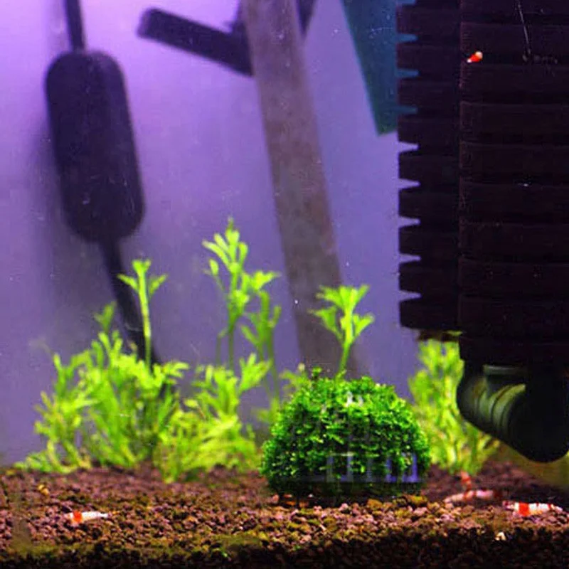 DIY аквариумный аквариум медиа мох шар фильтр декор для живого растения рыбы водные украшения Ornamen товары для домашних животных