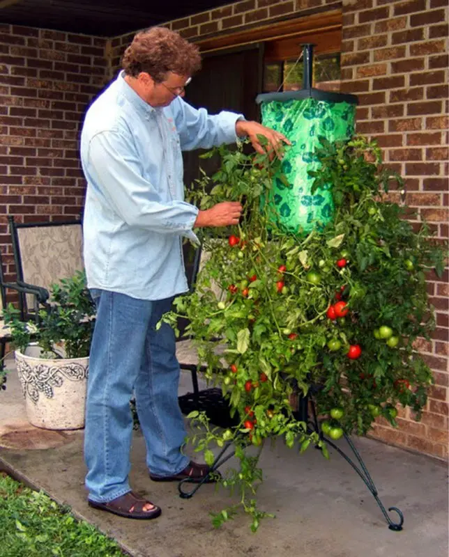 Topsy turvy. Topsy Turvy Tomato Planter. Вертикальные грядки для томатов. Подвесные грядки для томатов. Подвесная грядка для помидоров.