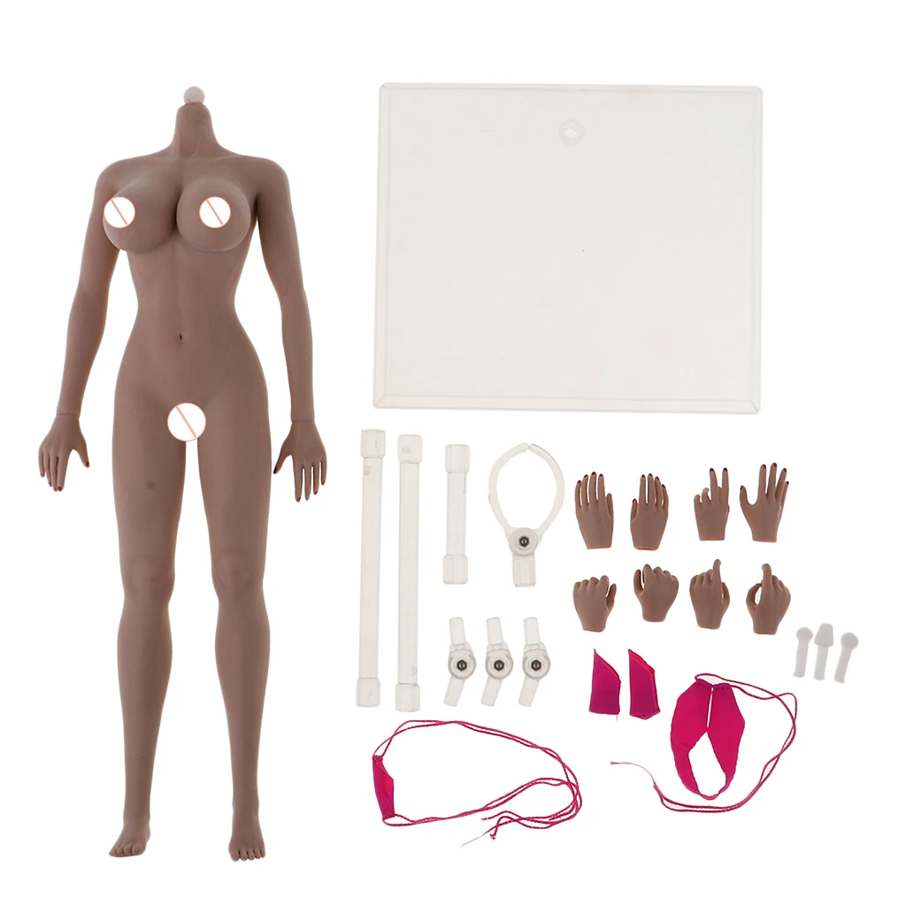 

1:6 Human-like Seamless Female Nude Body Stainless Steel Figure Toys Gift
