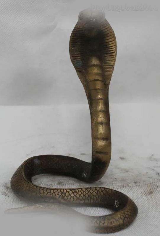 

8"China Bronze YuanBao Money Snake Cobra Chinese Zobiac Year Animal Of Statue