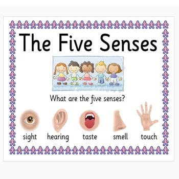 

11Pcs/Set Five Senses English A4 Big Card Flash Word Cards Early Educational Learning Toys For Children Teaching Aids For Kids