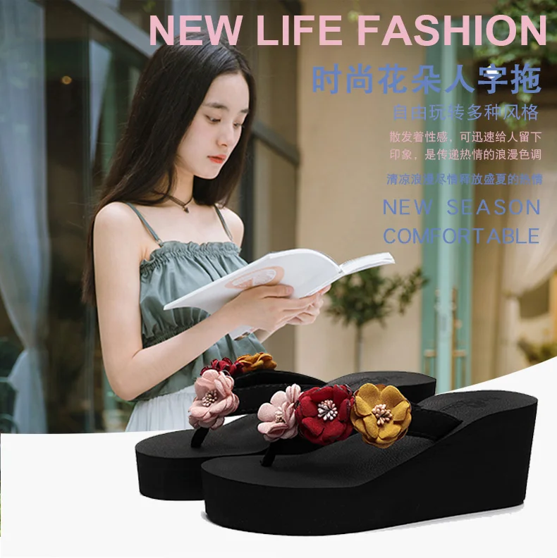 PR290101-ZQ01-_01
