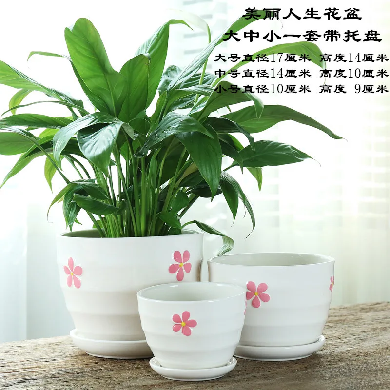 

Creative Simple Meaty Flower Pot with Tray 3 Sets of Large, Medium and Small Horizontal Pattern Flower Pots