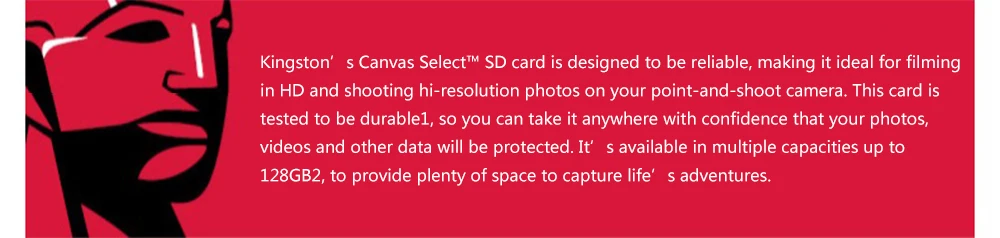 Kingston SD карта 128 Гб карта памяти класс 10 SDHC SDXC 64 ГБ 32 ГБ 16 ГБ cartao de memoria uhs-i HD видео для камеры с кардридером