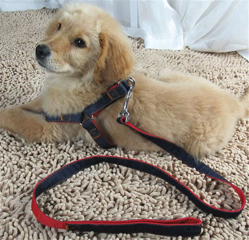 Adjustable No-Pull Denim Dog Harnesses Leash Collar for Greater Control Safety Dog Training Walking Running Rescue Harness 34
