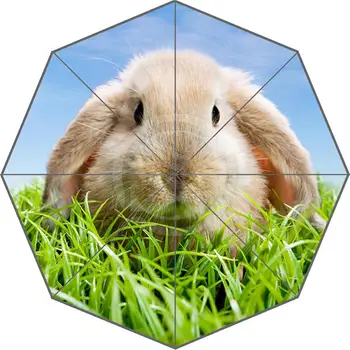 

7.4#21 New Fashion Custom Cute animal rabbit Umbrella Sunny and Rainy Sunscreen Anti-uv Umbrella L#21
