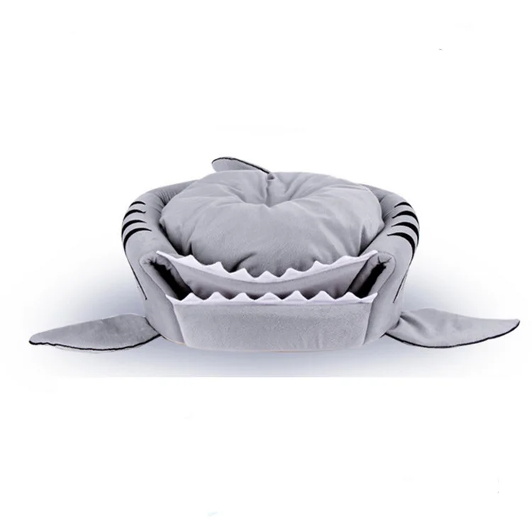 4525592801_841237710