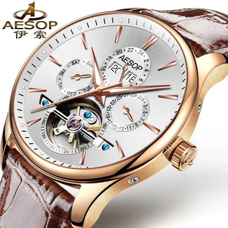 AESOP 9022 Switzerland watches men luxury brand skeleton Perpetual