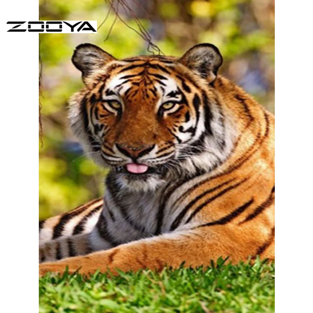 RF404A