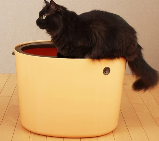 Золотой Кошачья песочница, котенок, коробка для туалета, внутренний полузакрытый поднос, туалет, постельные принадлежности, тренировочное съемное постельное белье для маленьких и средних домашних животных, аксессуары - Цвет: Золотой