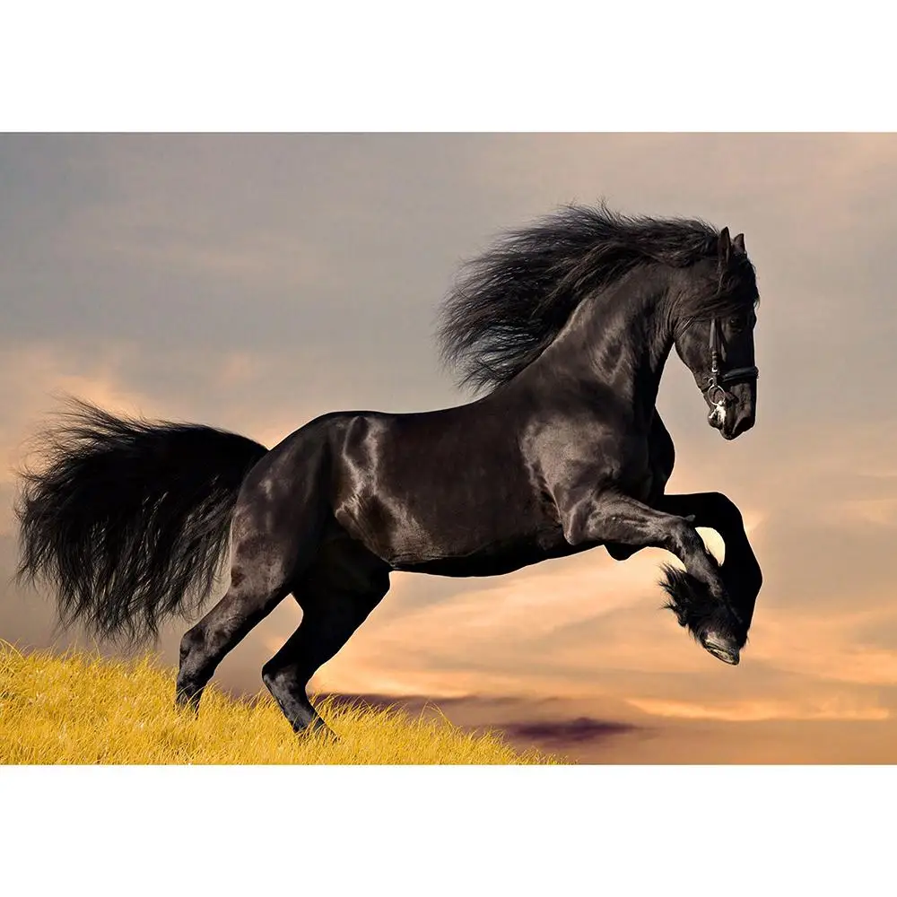 64e70af568b3251be10d65557bfb5eddc13a3bc3_original