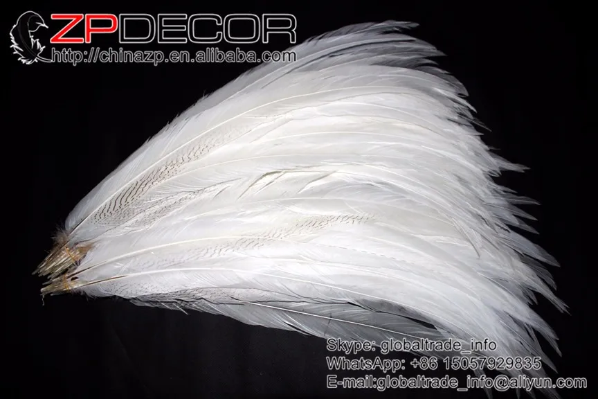 Zpdecor 24-26 дюймов(60-65 см) 50 шт./лот длинные высококачественные серебряные перья из хвоста фазана белые отбеленные