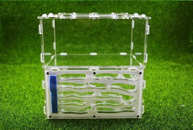 36020180607130206897