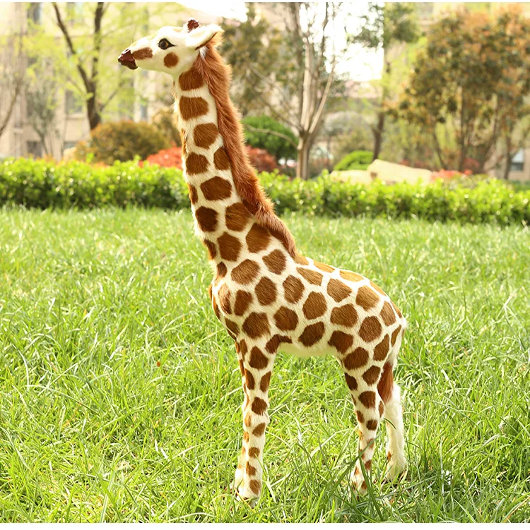 TB2Y02bcRTH8KJjy0FiXXcRsXXa_!!3251984894