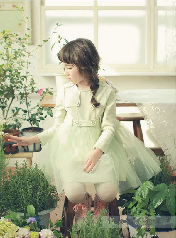 

Beautiful! High Quality! 2014 Spring Autumn Girls Long-Sleeved Dress Children Princess Tutu Dress Free Shipping H2745