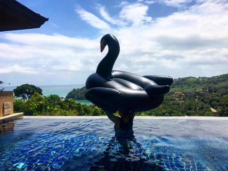Black golden color swimming tube pool vison water float inflatable party toys air huge inflatable sea 190cm swan Beach (9)