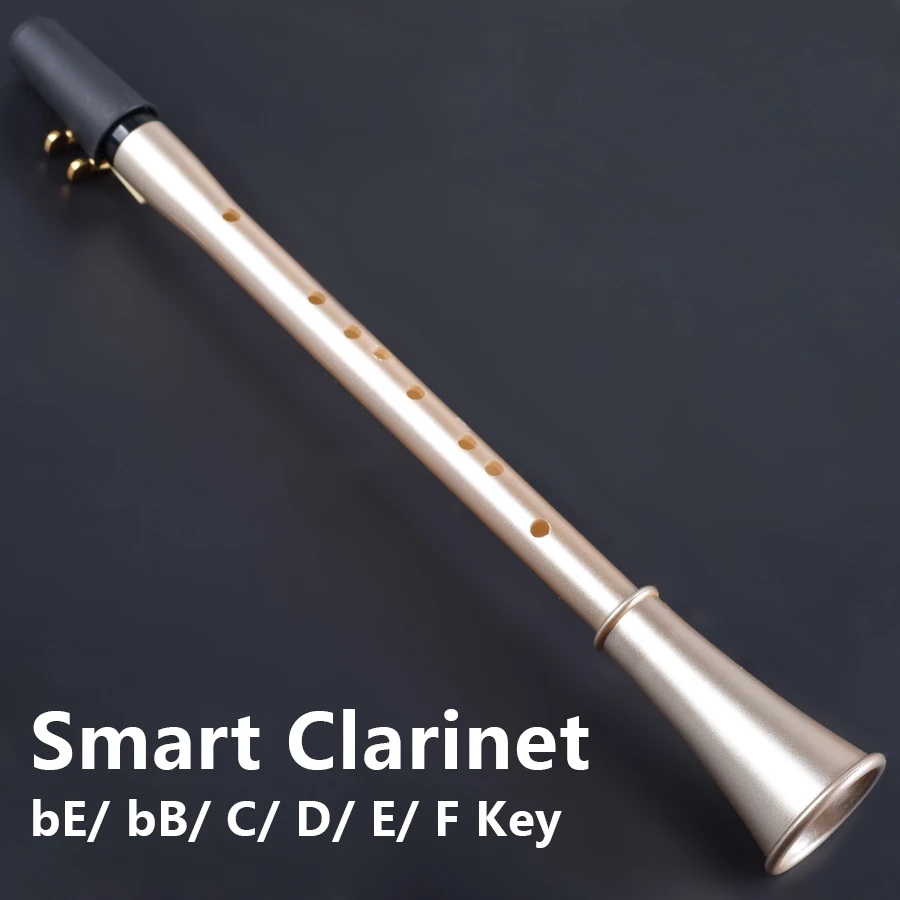Chinese Mini Clarinet Sax Pocket Clarinet-saxophone Smart Wind Musical  Instruments Beginners With Reeds Bb/ Eb/ C/ D/ E/ F Key - Clarinet -  AliExpress
