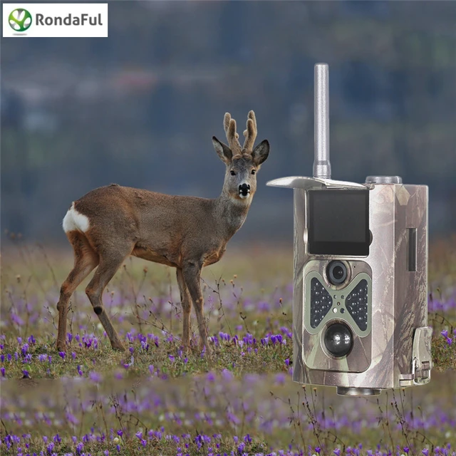 Best price at $128 Cheap Suntek HC500G Hunting Camera 3G GPRS MMS SMTP/SMS 12MP 1080P 120 Degrees PIR Sensor Sight Angle Wildlife Trail Camera