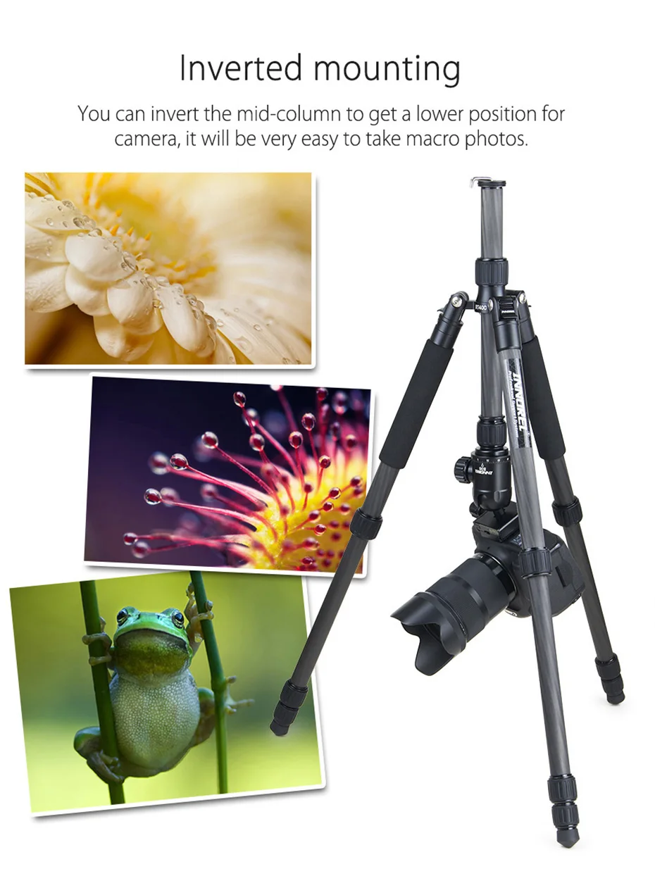RT40C Carbon Fiber Camera Tripod Professional Travel Compact Tripod Video Monopo