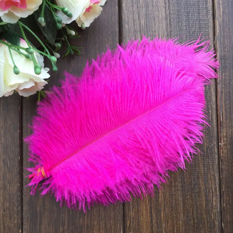 Ostrich feather4
