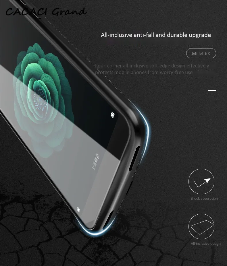 case (4)