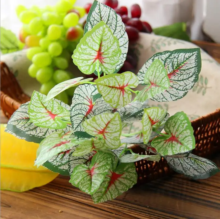  white point leaf