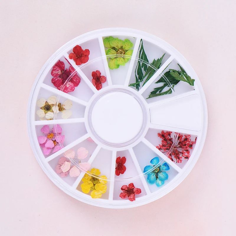 

24Pcs/Wheel Mixed Manicure Polish Pressed Floral Leaf Nail Art Decorations 3D Dried Flower Nail Art Decoration