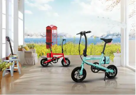 Excellent Intelligent electric bicycle BEE-02 12inch foldable bike 36v 250W motor 6AH lithium battery magnesium wheel 0