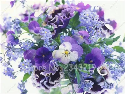 5B55CA6F1ABDAA359B82E6BBA2F94343