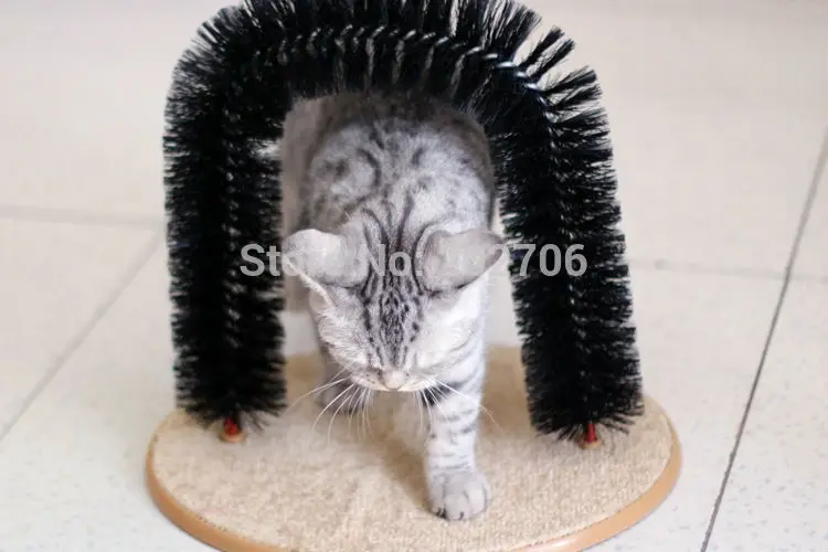 CAT M (1)