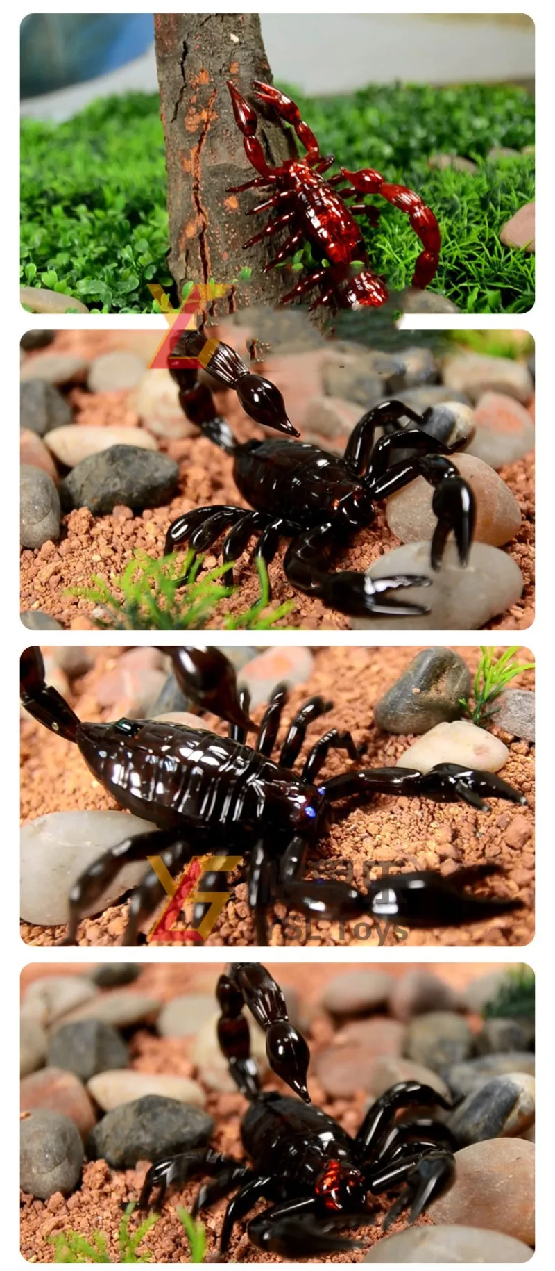 HTB1MolBklTH8KJjy0Fiq6ARsXXaQ