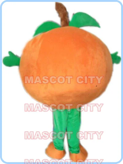orange fruit fancy dress