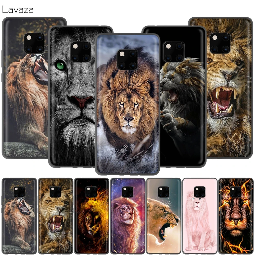 Lion cases