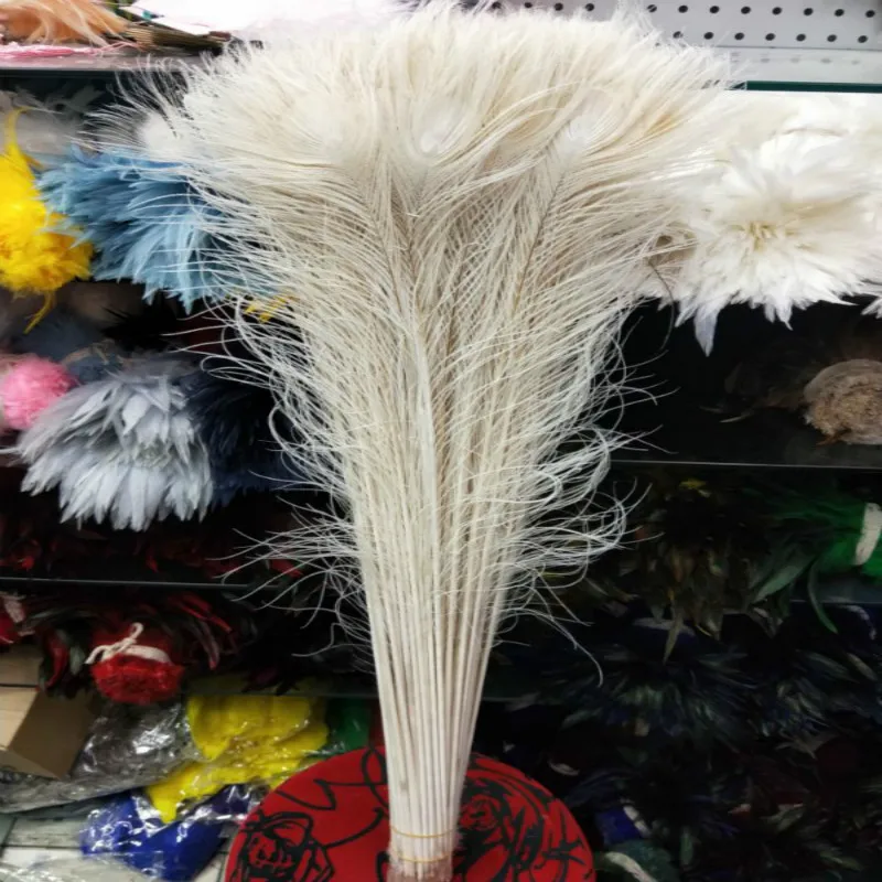 

Wholesale 100pcs beautiful white peacock feather eye 70-80cm / 28-32inch decorative celebration stage performance diy