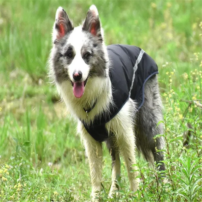 Waterproof Big Dog Jacket Breathing Thin Large Pet Clothes Mesh Spring